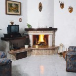 Articolo 520N
